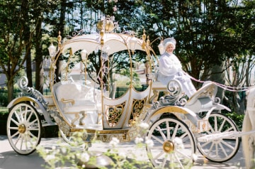 Cinderella’s Coach parked on a pathway surrounded by trees Cinderella’s Coach parked on a pathway surrounded by trees