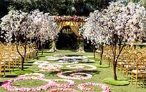 Flower petals scattered down an aisle leading to an altar in an outdoor courtyard