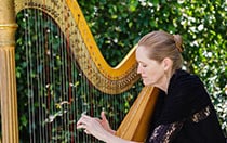Harpist