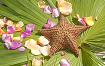 Other Floral Arrangements