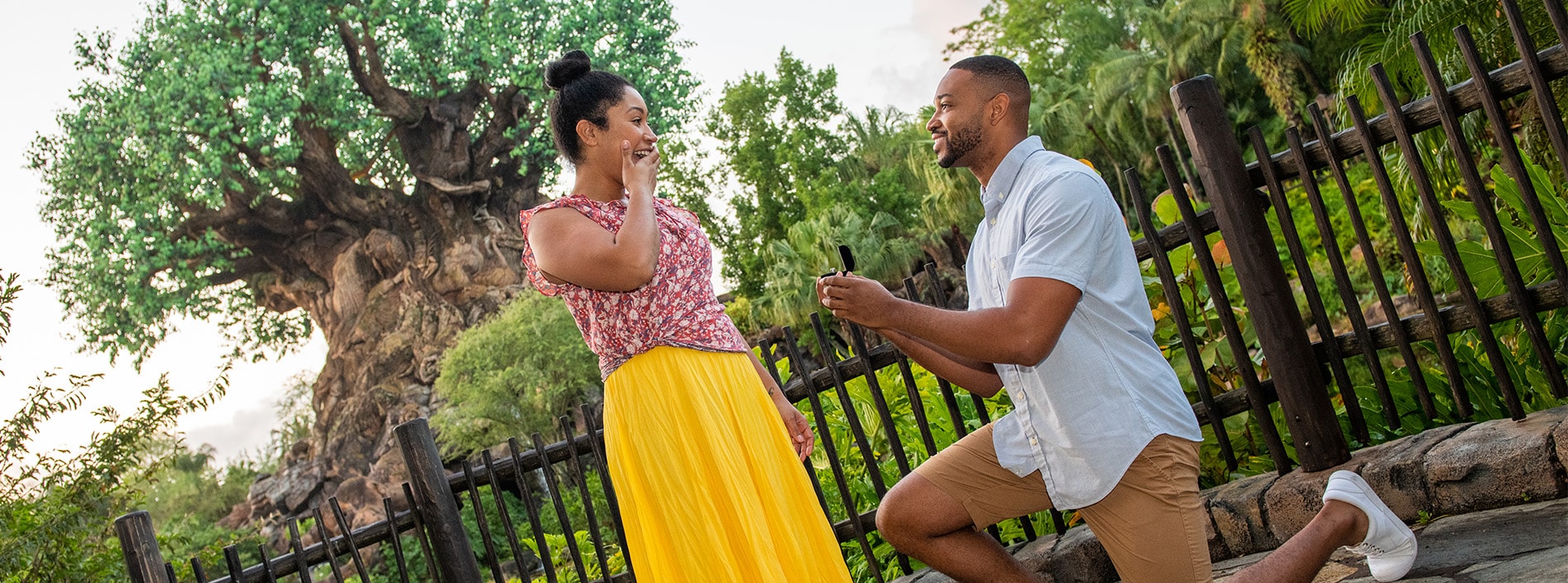 A man proposing to a woman in front of the Tree of Life at Disney’s Animal Kingdom park