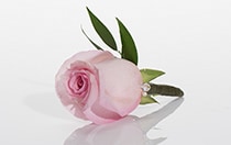 Boutonniere