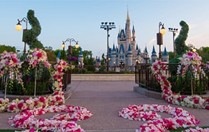 Cinderella's Castle stands in the background of an outdoor wedding venue set with chairs and floral arrangements