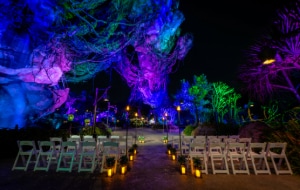 A space arranged for a wedding ceremony in front of a waterfall coming from a floating mountain in Pandora The World of Avatar A space arranged for a wedding ceremony in front of a waterfall coming from a floating mountain in Pandora The World of Avatar