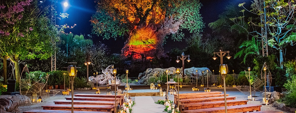Tree Of Life Florida Weddings Disney S Fairy Tale Weddings