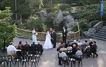 Japan Courtyard
