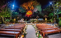 2 rows of benches adorned with candles and flowers leading to an illuminated tree