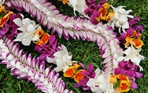 Flowers and leaves arranged in a pattern