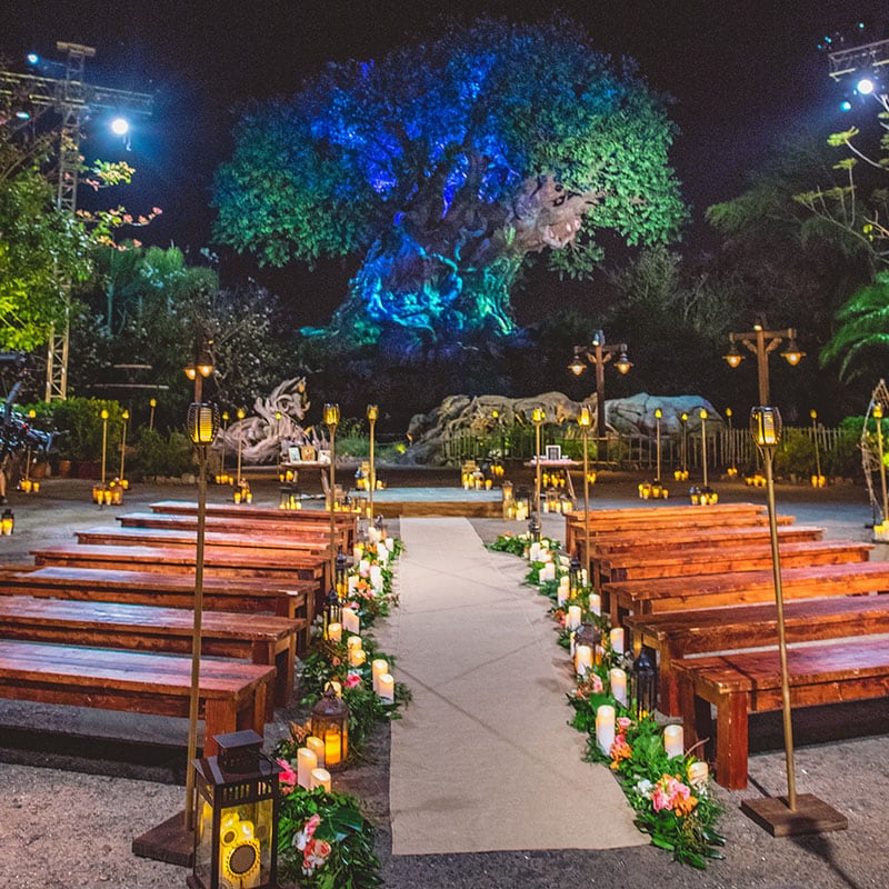 Disney Wedding Decor Gallery S Fairy Tale Weddingsdisney Wedding Decor Ideas