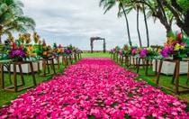 An aisle covered with vibrant blossoms between short tables topped with tropical flower bouquets