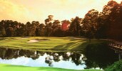 Disneys Magnolia Golf Course featuring greens surrounded by trees and a body of water Disneys Magnolia Golf Course featuring greens surrounded by trees and a body of water