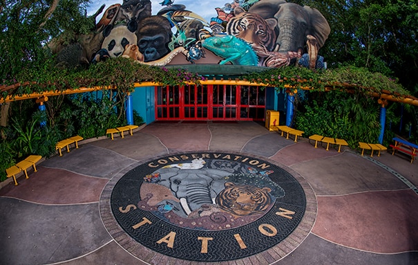 Unexpected Event Venue: Conservation Station at Disney's Animal Kingdom  Theme Park | Disney Meetings Blog