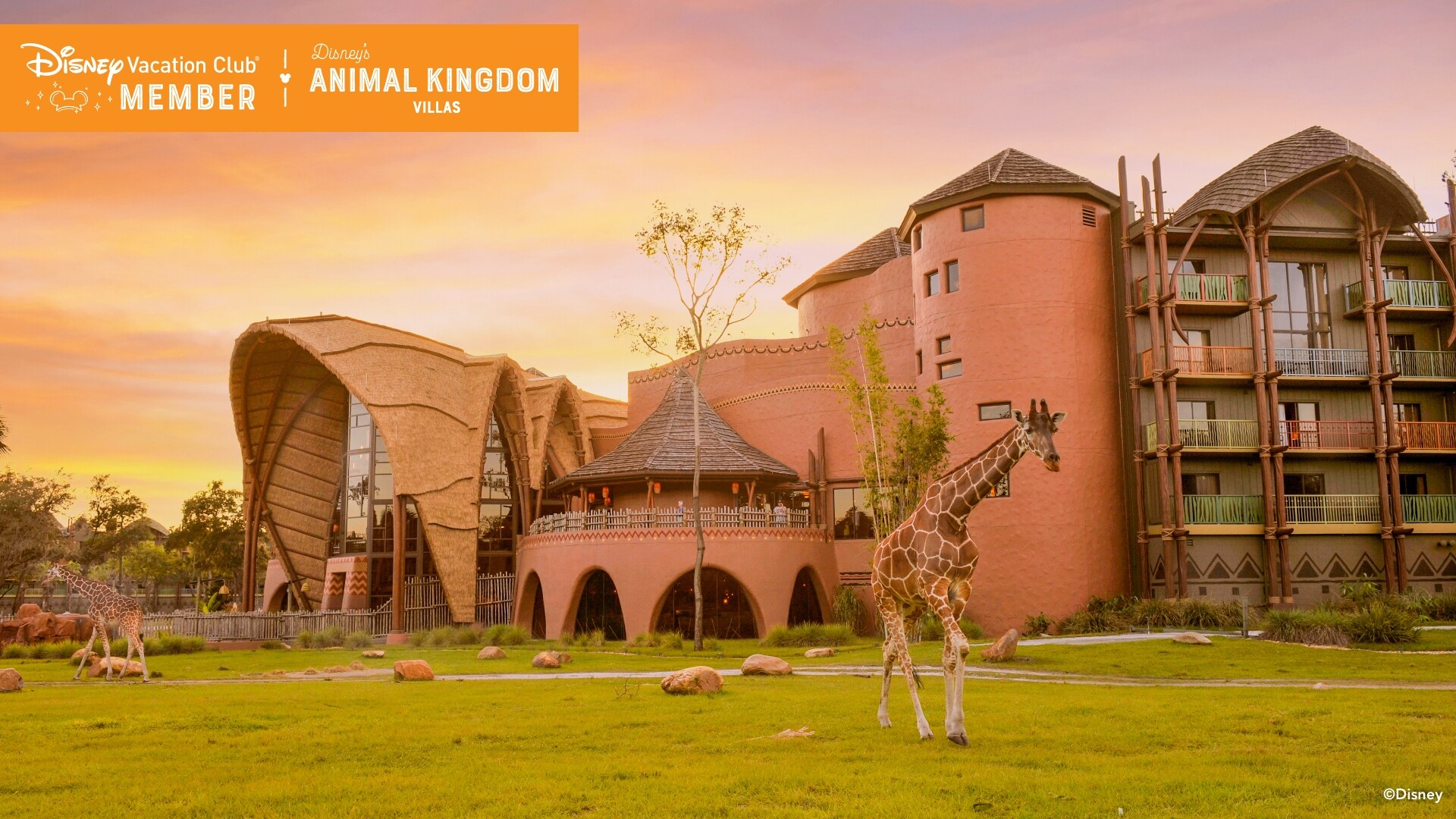 A giraffe strolling by Disney’s Animal Kingdom Villas, over which a banner reads, ‘Disney Vacation Club Member, Disney’s Animal Kingdom Villas’