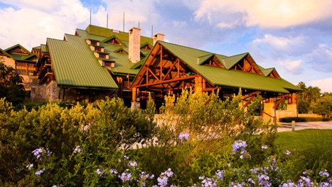 Shrubbery in front of The Villas at Disney's Wilderness Lodge 