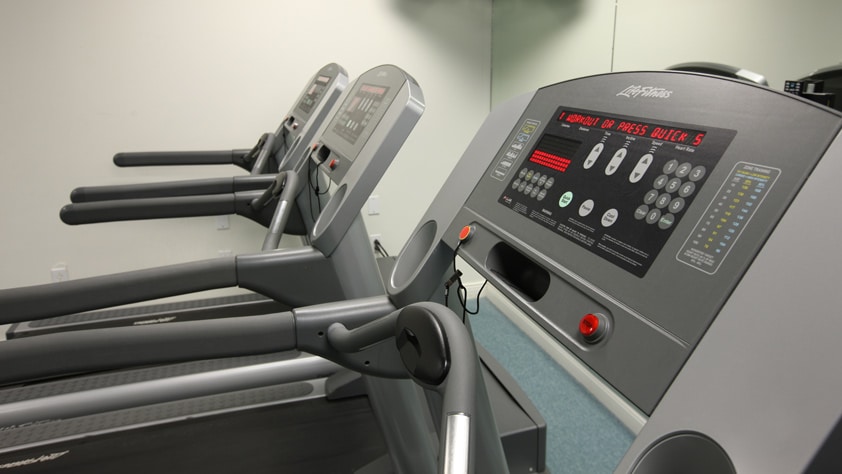 A row of treadmills in a fitness center