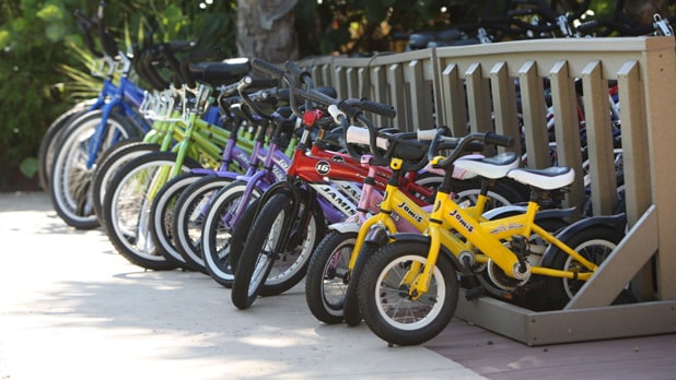Bicycles of various sizes are lined up for rental