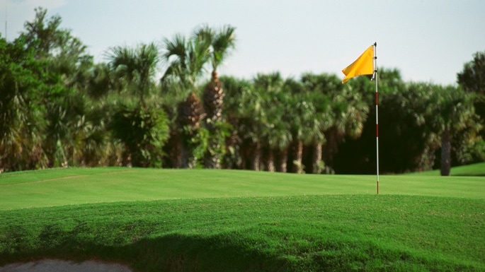 A golf course with palm trees in the background