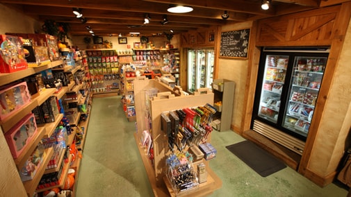 A convenience store with packed shelves and refrigerated areas