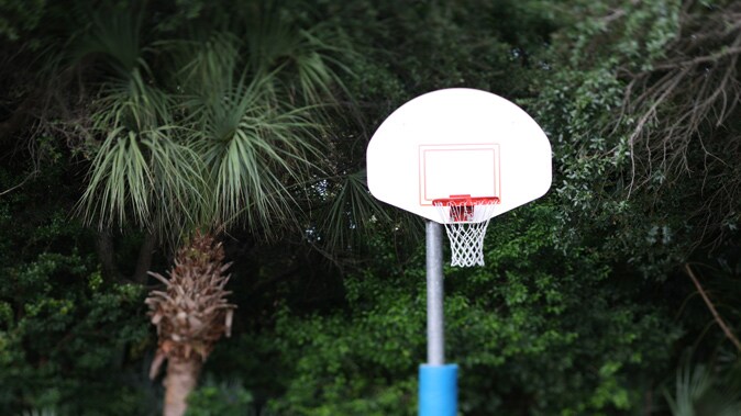 A basketball hoop surrounded by trees