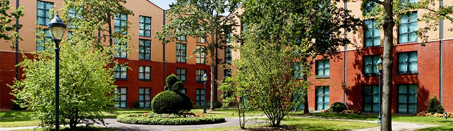 Book Disney S Hotel New York Disney Vacation Club