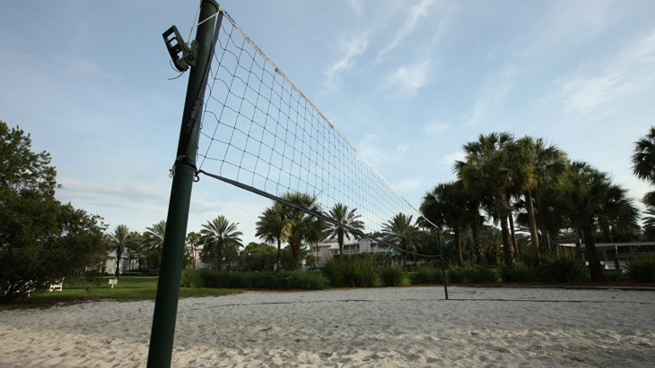 A volleyball court on a beach with nearby palm trees