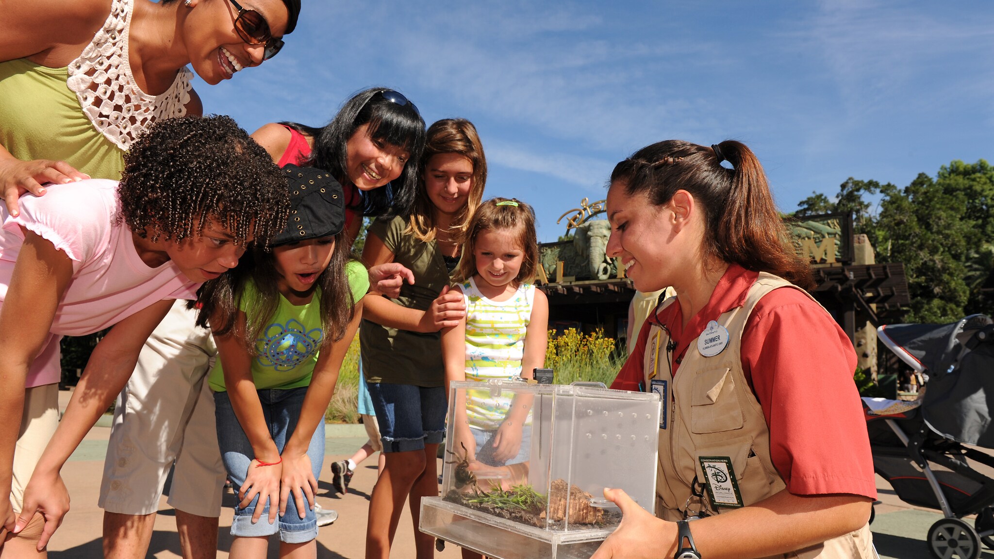 ウォルト ディズニー ワールド リゾートのアクティビティ ディズニー バケーション クラブ