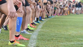 Six Reasons to Race through the Disney Cross Country Classic