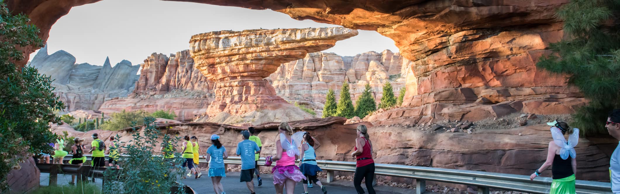 Travel Providers Disneyland Half Marathon Weekend