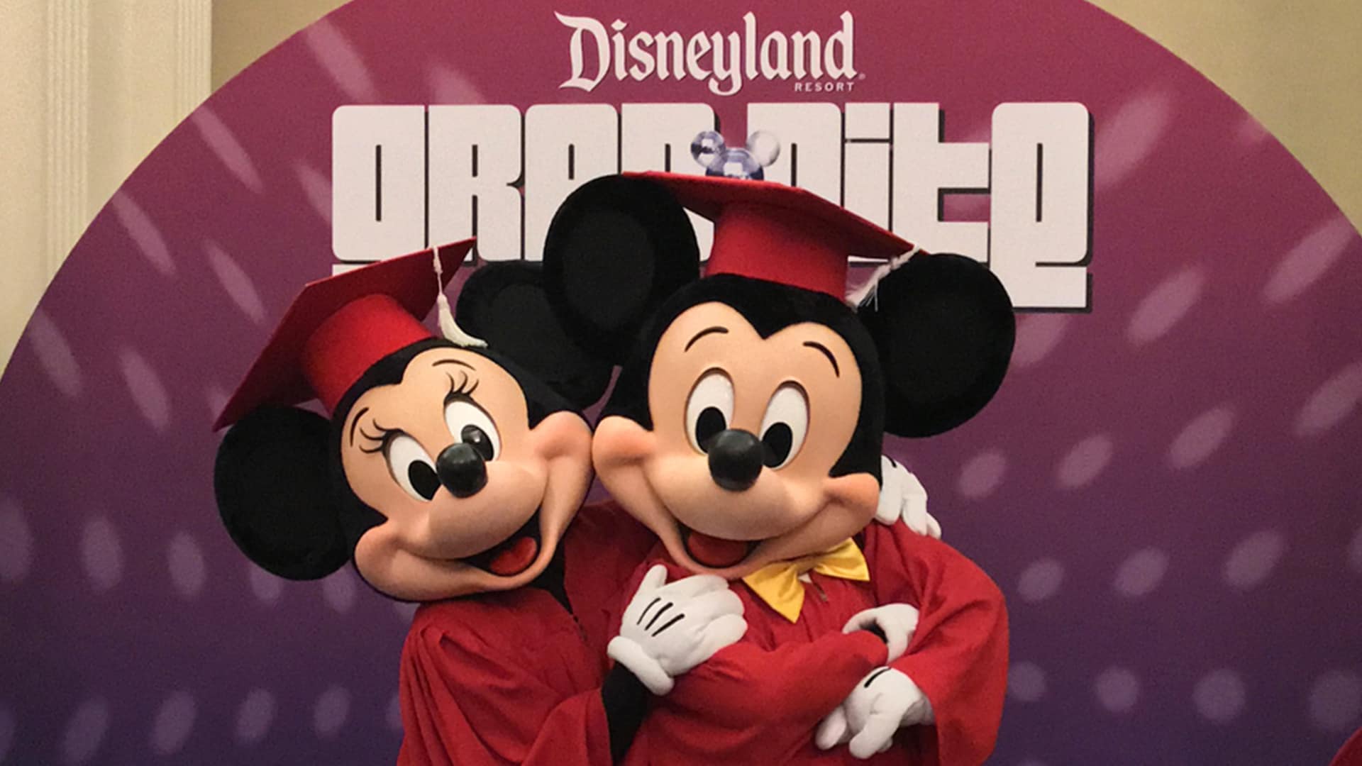Micky and Minnie mouse dressed in graduation gowns at grad nite