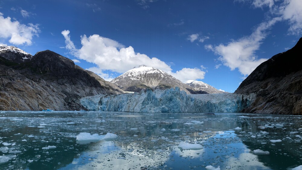 Ice covered cliffs along a fjord
