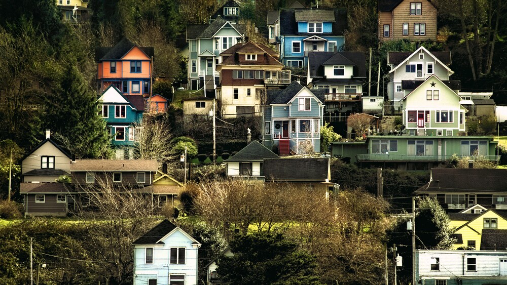 Quaint houses tucked up against a forested hillside