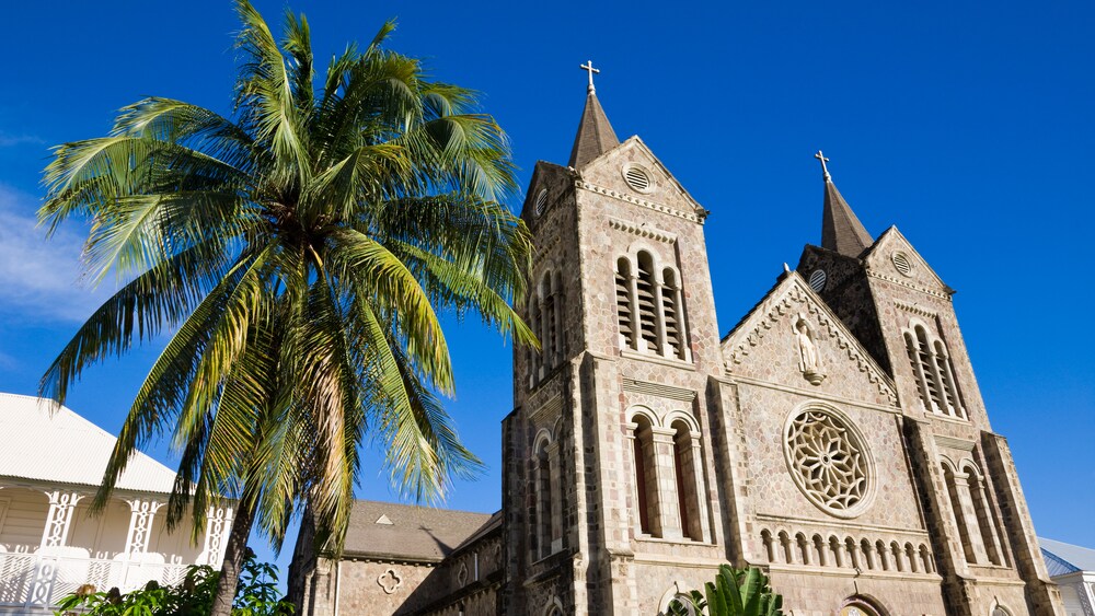 A palm tree next to a large church with 2 cross steeples