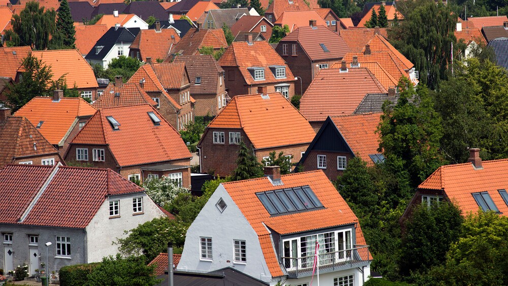 Houses in a neighborhood