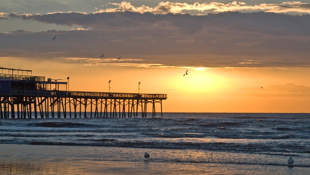 A beach at sunrise featuring a pier, seagulls, ocean waves and clouds in the sky