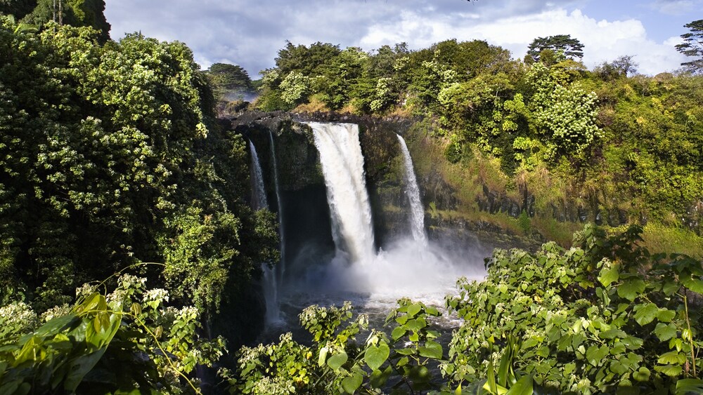 A waterfall in a lush setting