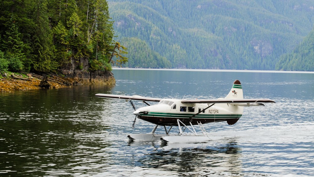 Pontoon plane floats along the surface of a lake with thick mountain forest in the background