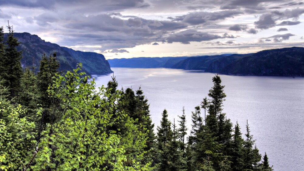 A river flowing through a tree lined valley