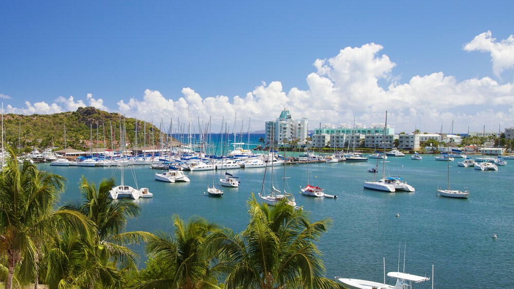 Palm trees and boats along the waterfront in St. Maarten