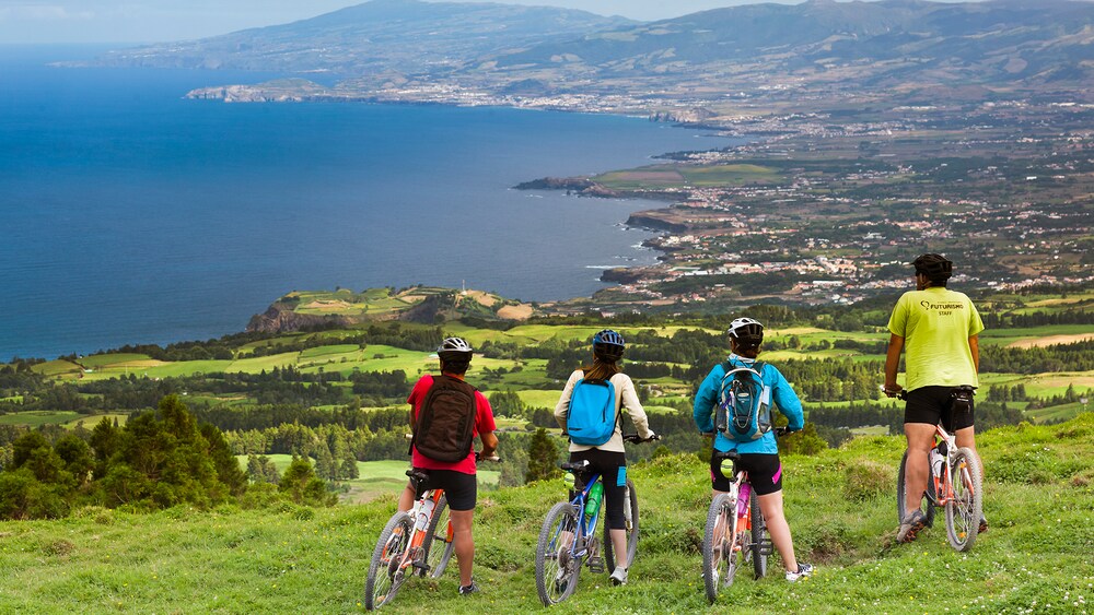 4 bicyclists pause on a grassy hillside with a wide view of a coastline