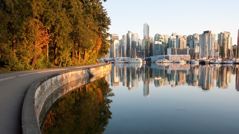 A concrete path winds a long a forest edge above a bay with glass skyscrapers and boats in the background