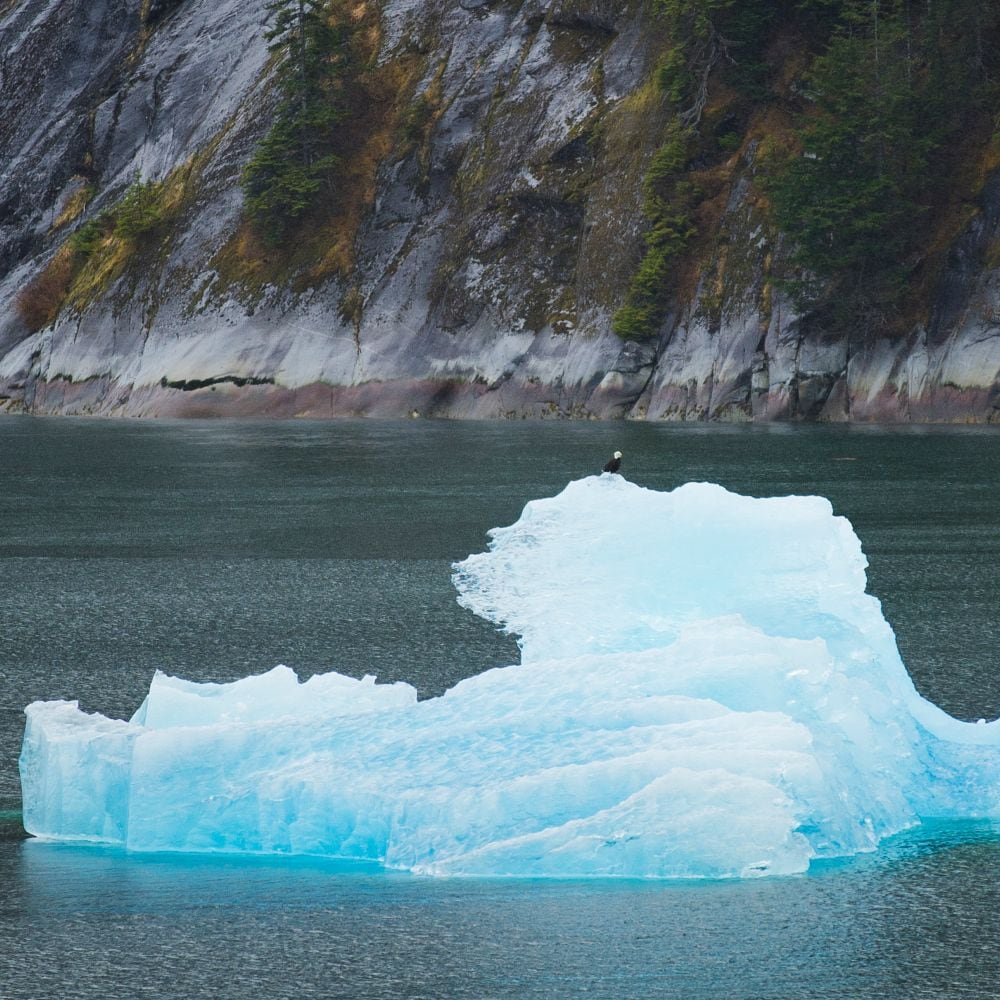An iceberg floating on the cold waters of Alaska