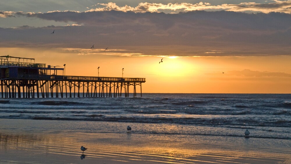 A beach at sunshine featuring a pier, seagulls, ocean waves and clouds in the sky
