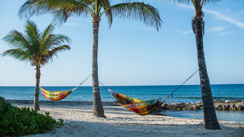 Two hammocks slung between 3 palm trees on a beach in Puerto Plata, Dominican Republic