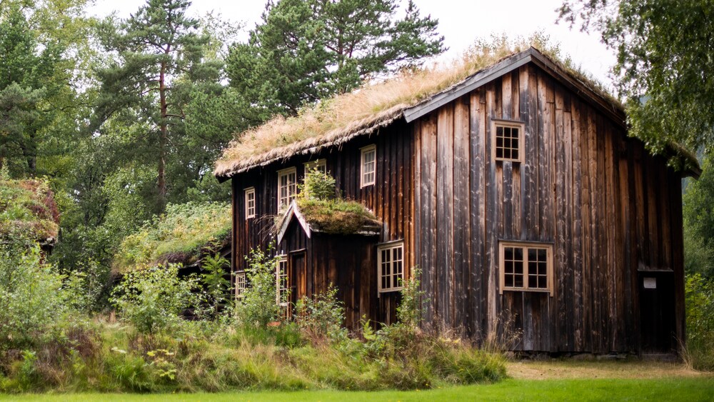 Wood paneled building with grass growing on the roof surrounded by brush and woods
