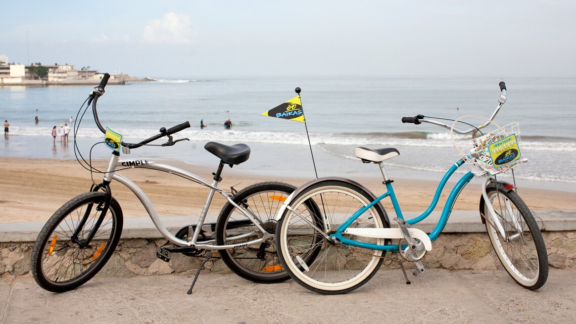 Mazatlan City & Ocean Boardwalk Bike Tour Disney Cruise Line