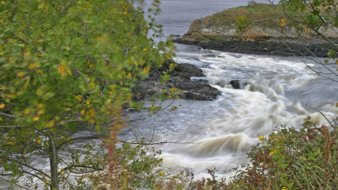 Bay of Fundy Photography Guided Tour Disney Cruise Line