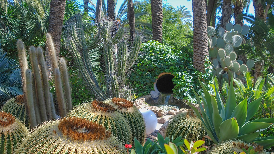 Elche & Botanical Gardens Tour from Cartagena | Disney Cruise Line | Disney  Cruise Line