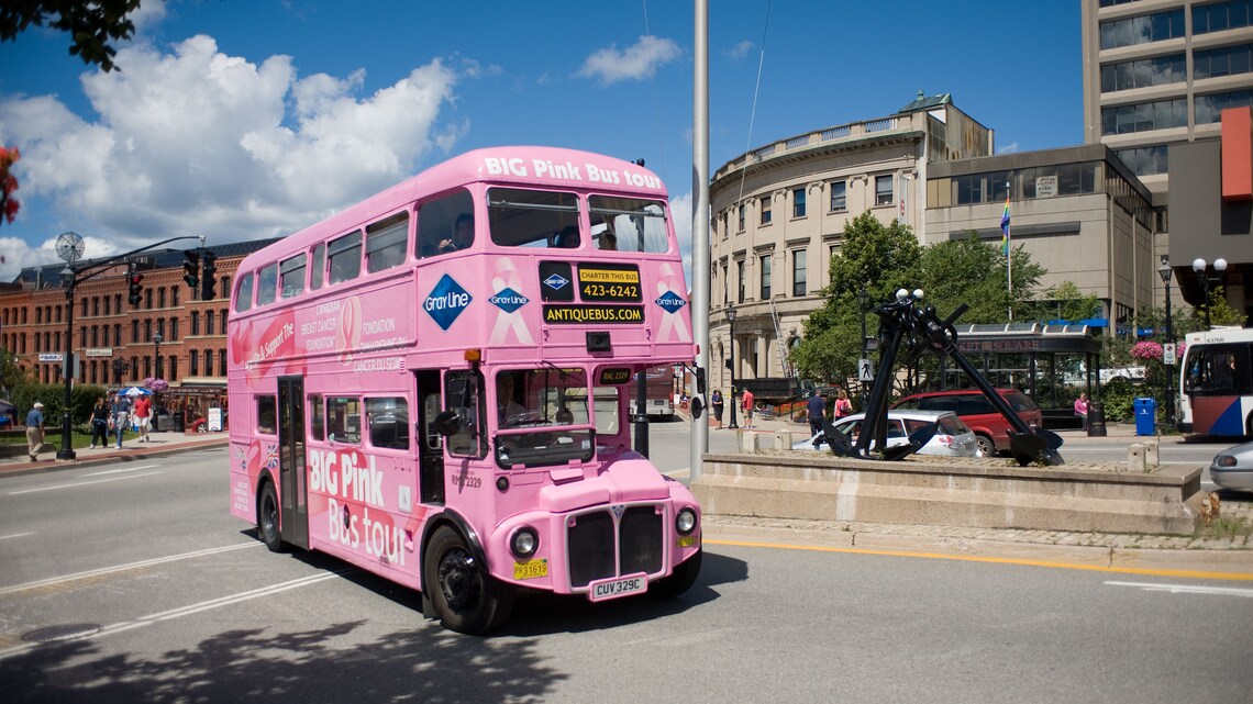 Big Pink Sightseeing at Saint John | Disney Cruise Line