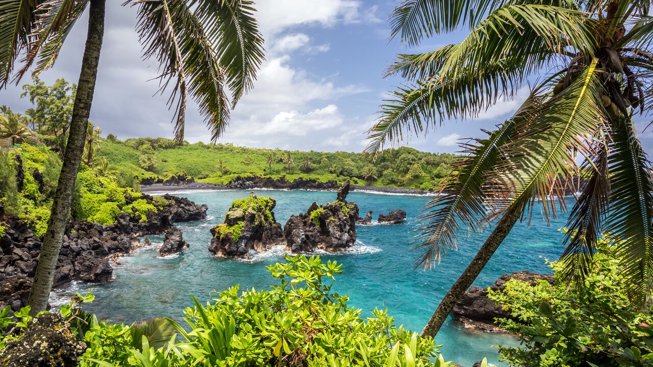 Road to Hana Mini-Bus Tour in Maui | Disney Cruise Line, image size:1280x720