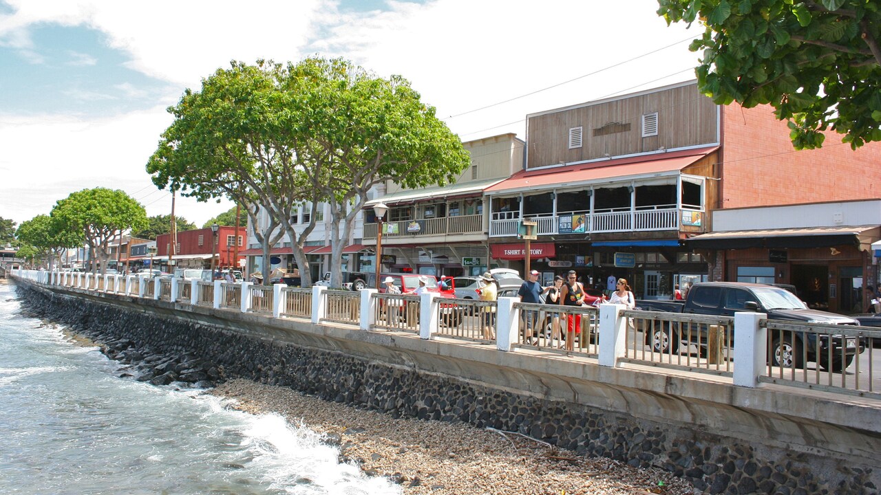 Kahului, Hawai'i | Ports of Call | Disney Cruise Line, image size:1280x720